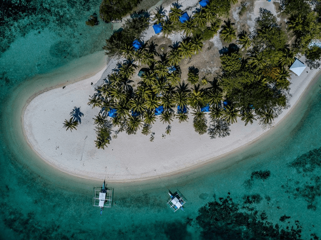 Reef and Wrecks