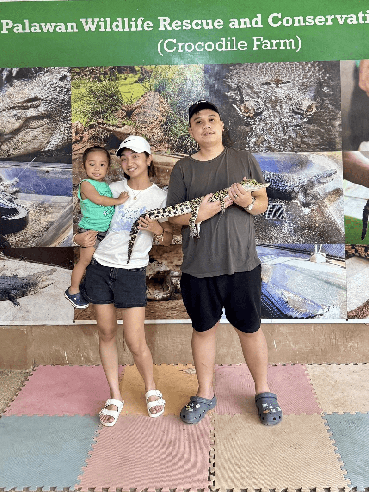 image-/resources/puerto-princesa/city-tour/crocodile-farm.png1